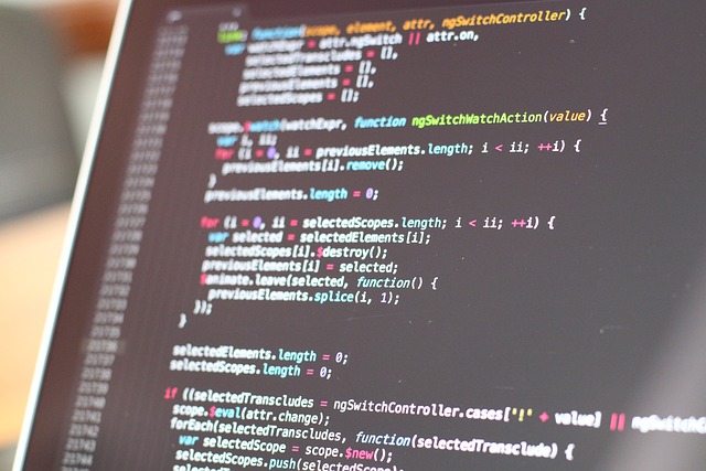 code-820275_640 - GeoPlugin - Resources Image showing a programming script written on a laptop.