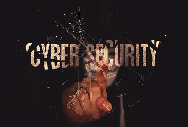 cyber-security-2851201_640 - GeoPlugin - Resources Image showing a hacker along with the text “Cyber Security” at the front.