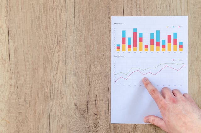 pexels-goumbik-590041 - GeoPlugin - Resources A person pointing to business charts.