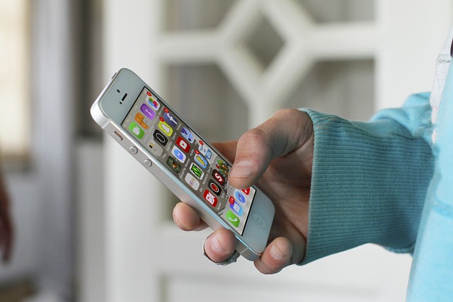iphone-830480_640 - GeoPlugin - Resources Image showing an individual holding an iPhone.