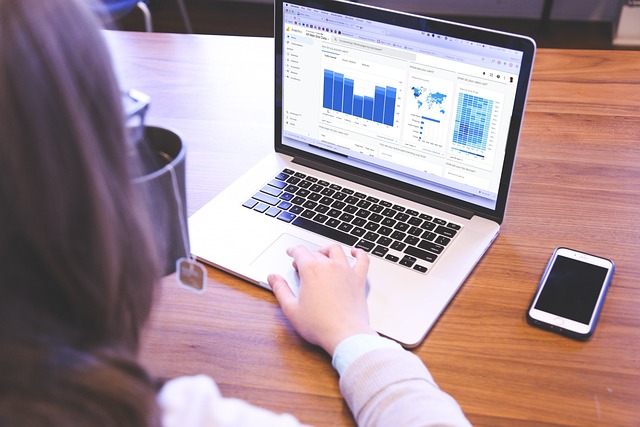 computer-5837248_640 - GeoPlugin - Resources Image showing a woman working on a laptop.